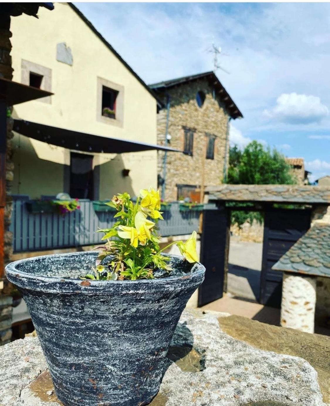 Preciosa Casa Rural Cal Felipet En Olopte-Cerdanya Екстер'єр фото